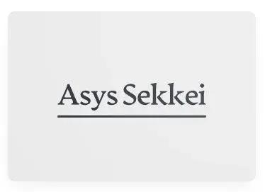 Asys Sekkei S.R.L