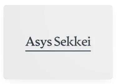 Asys Sekkei S.R.L