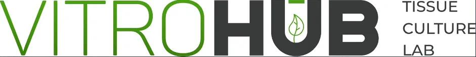 Vitrohub S.R.L.