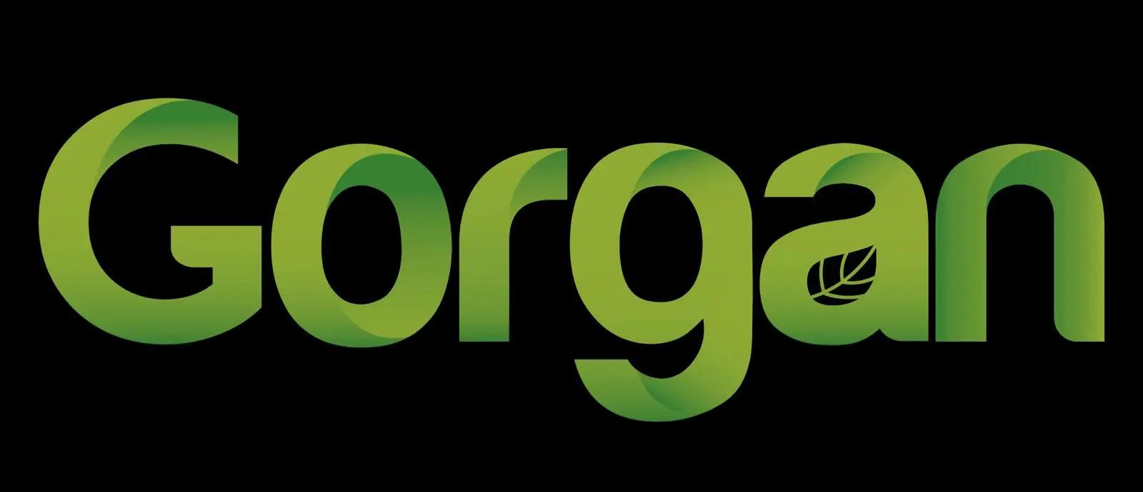 GORGAN SRL