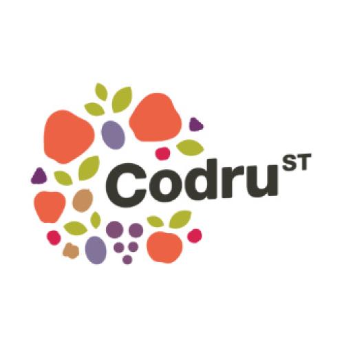 Codru-ST S.R.L