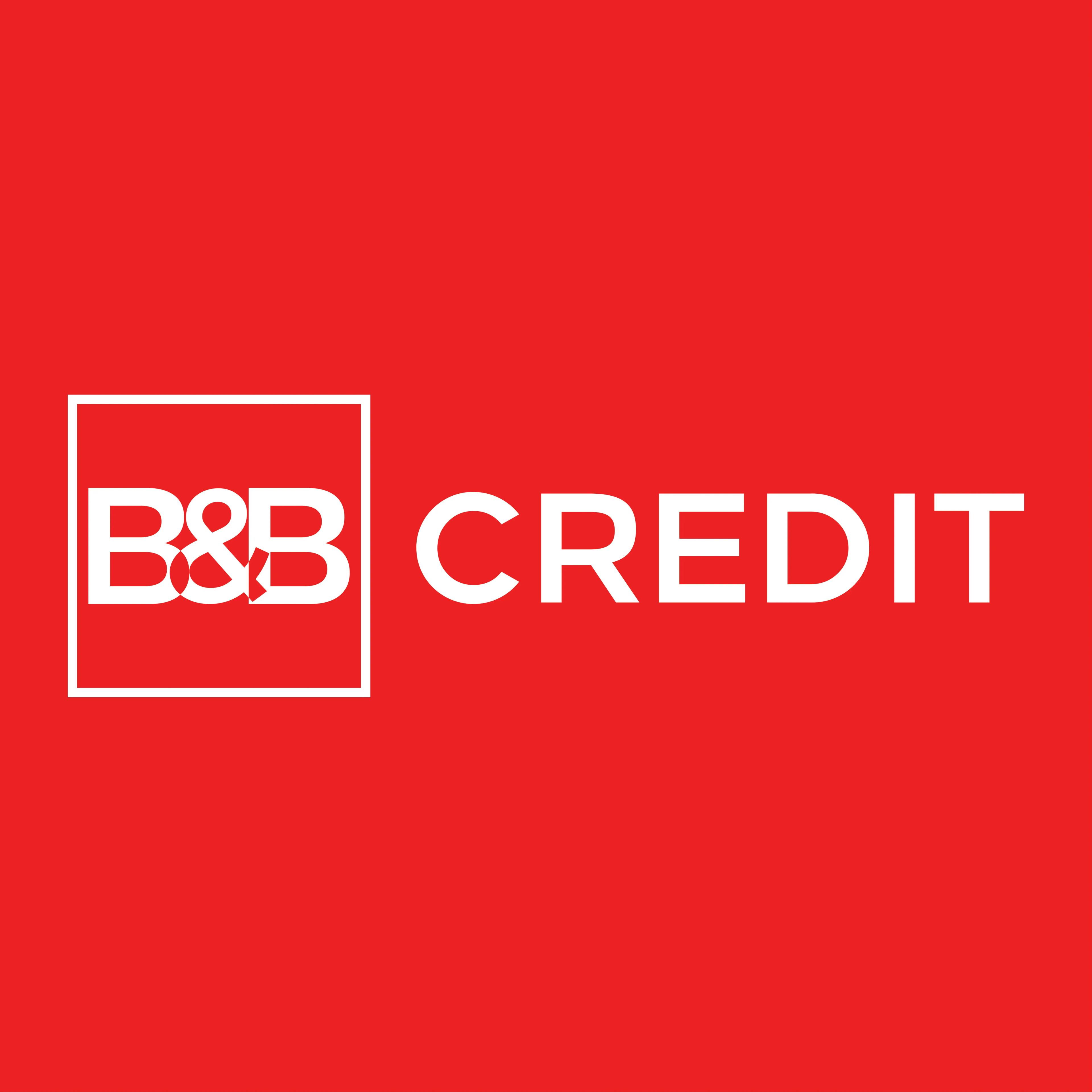 O.C.N. B&B ONE CREDIT S.R.L.