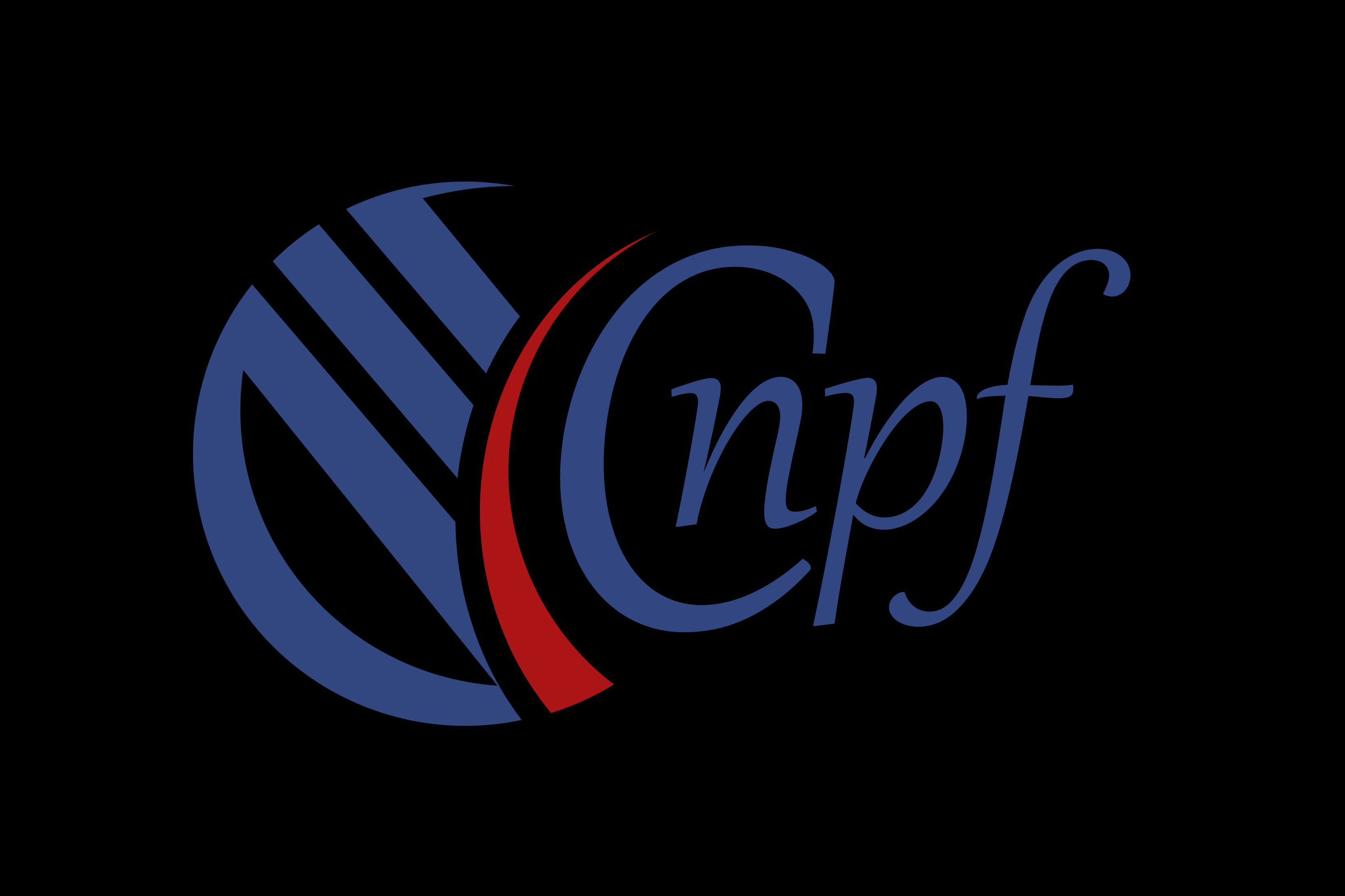 Comisia Națională a Pieței Financiare