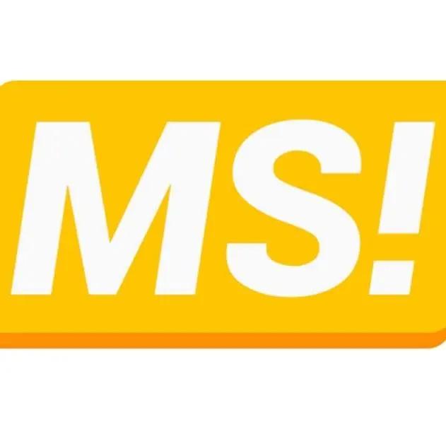 MODERN SISTEM SRL