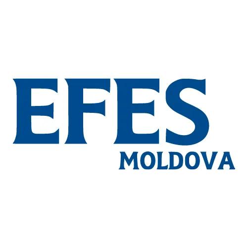 Efes Vitanta Moldova Brewery