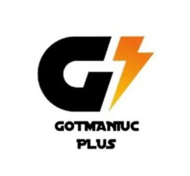 GOTMANIUC PLUS SRL