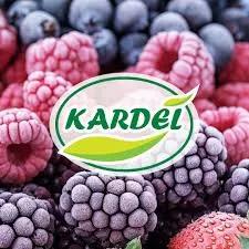 KARDEL
